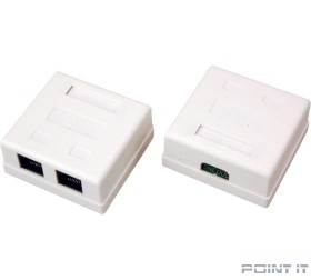 REXANT (06-0105-C) Розетка сетевая LAN, на стену, 2 гнездо 8Р8С (RJ-45), CAT 5е