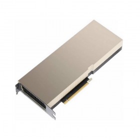 Видеокарта NVIDIA 80 Гб PCIE 4.0 16x GPU 1410 МГц Heatsink (passive) 900-21001-0120-030