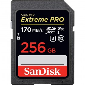 Карта памяти SDXC 256GB UHS-1 SDSDXXY-256G-GN4IN SANDISK