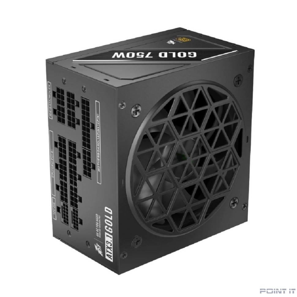 1STPLAYER NGDP Gold 750W / ATX 3.1, APFC, 80 PLUS Gold, LLC+DC-DC, 120mm fan, full modular / HA-750BA4