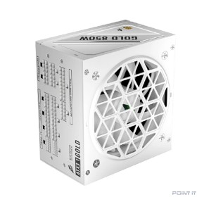 1STPLAYER NGDP Gold 850W White/ ATX 3.0, APFC, 80 PLUS Gold, LLC+DC-DC, 120mm fan, full modular / HA-850BA4-WH