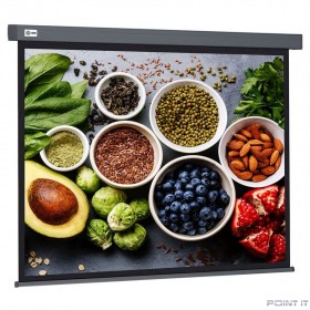 Экран Cactus Wallscreen CS-PSW-150X150-SG,  150х150 см, 1:1,  настенно-потолочный серый