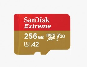 Карта памяти MICRO SDHC 256GB UHS-I SDSQXAV-256G-GN6MN SANDISK